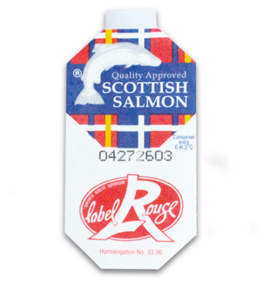 logo salmon scottish